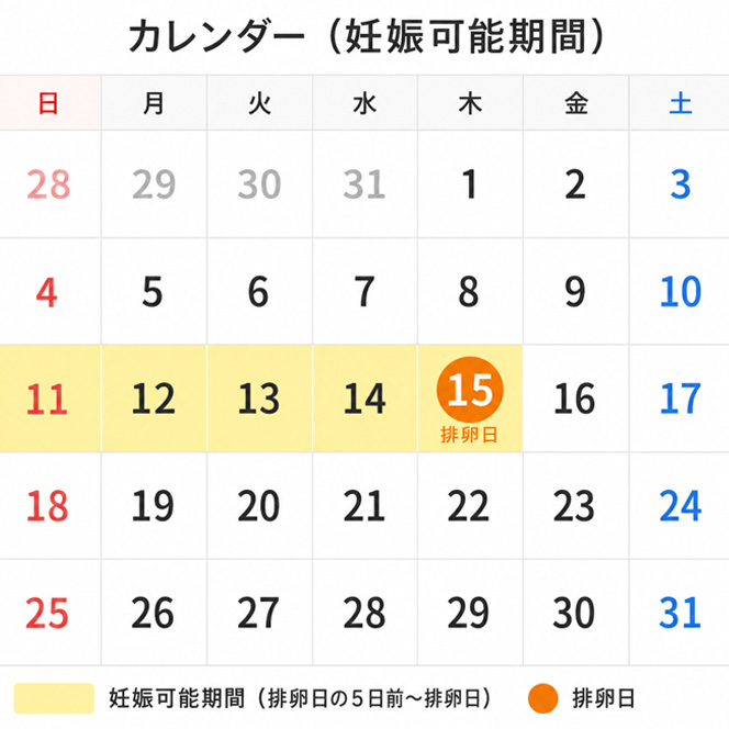 排卵日を把握する