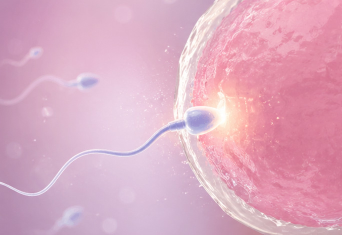受精